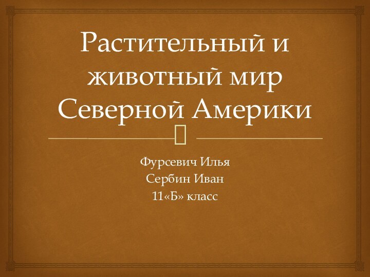 Растительный и животный мир Северной АмерикиФурсевич ИльяСербин Иван11«Б» класс