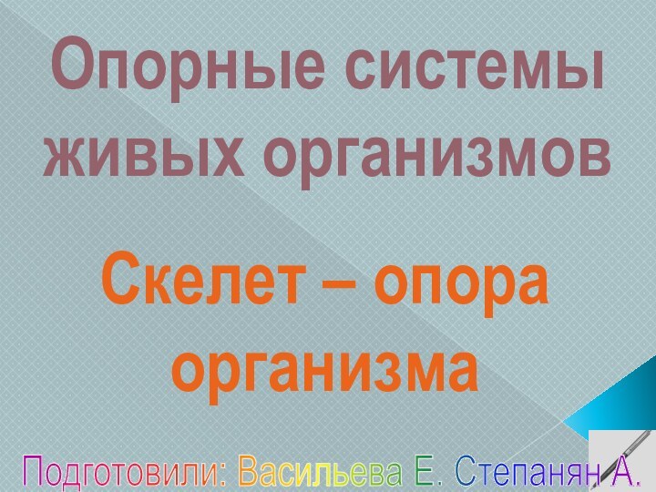 Опорные системы живых организмовСкелет – опора организмаПодготовили: Васильева Е. Степанян А.