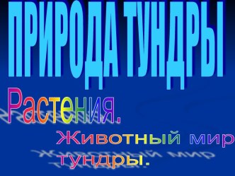 Природа тундры. Растения. Животный мир тундры