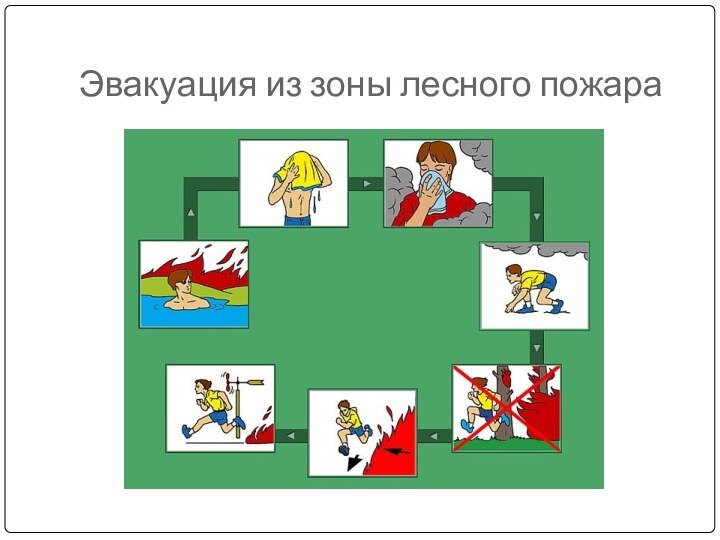 Эвакуация из зоны лесного пожара