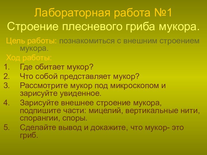 Лабораторная работа №1 Строение плесневого гриба мукора.Цель работы: познакомиться с внешним строением