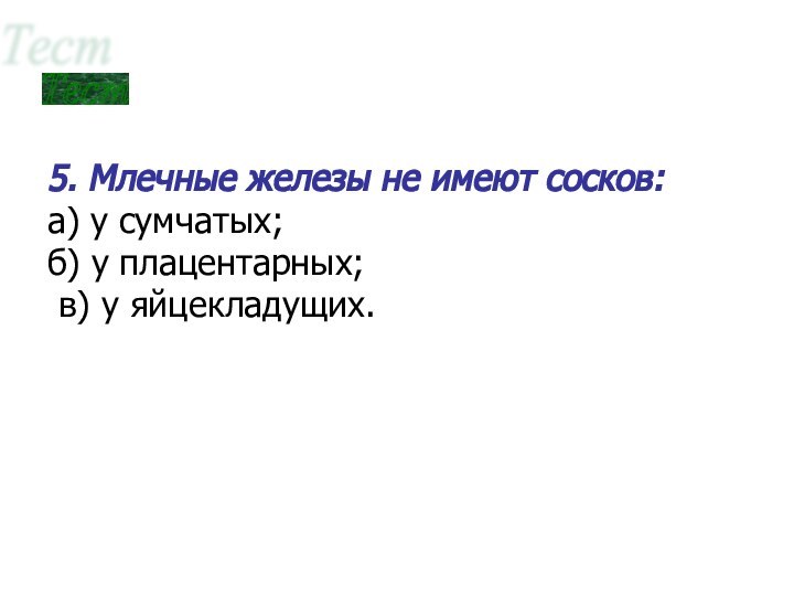 Тест 5. Млечные железы не имеют сосков:а) у сумчатых;б) у плацентарных; в) у яйцекладущих.