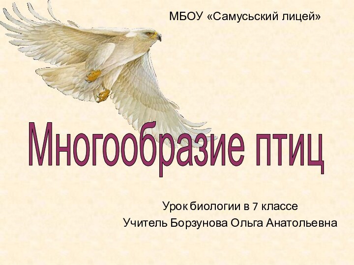 Урок биологии в 7 классеУчитель Борзунова Ольга АнатольевнаМногообразие птицМБОУ «Самусьский лицей»