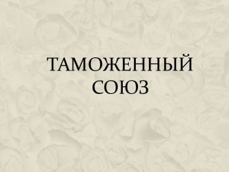 Таможенный союз