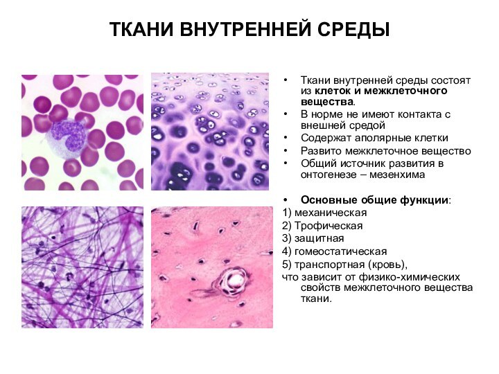 ТКАНИ ВНУТРЕННЕЙ СРЕДЫТкани внутренней среды состоят из клеток и межклеточного вещества.В норме