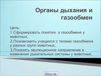 Органы дыхания и газообмен