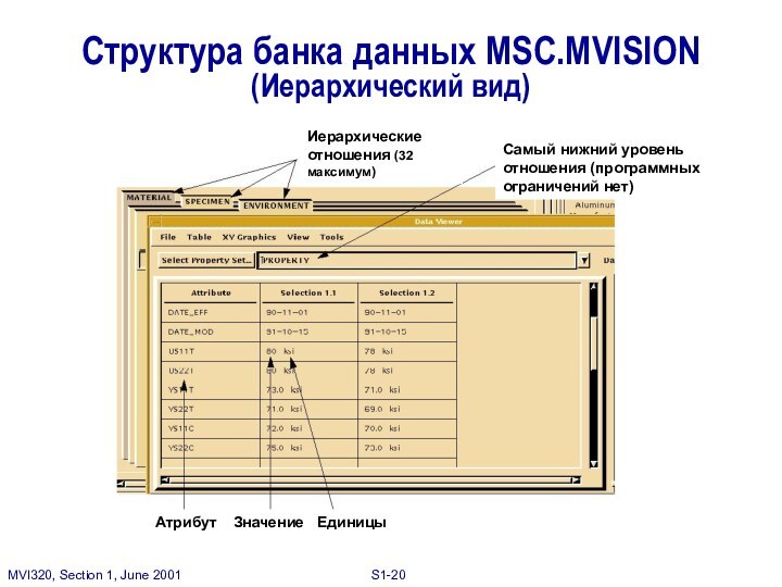 Структура банка данных MSC.MVISION (Иерархический вид)Атрибут	Значение  ЕдиницыИерархические отношения (32 максимум)Самый нижний