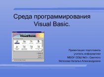 Среда программирования Visual Basic.