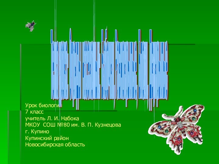 Урок биологии 7 классучитель Л. И. НабокаМКОУ СОШ №80 им. В. П.