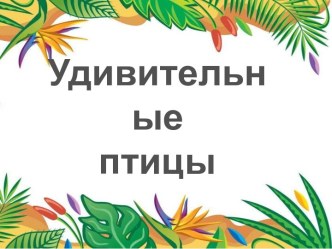 Удивительные птицы