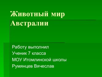 Животный мир Австралии