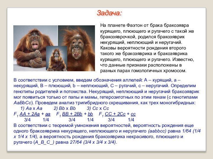 На планете Фаэтон от брака бракозявра курящего, плюющего и ругачего с такой