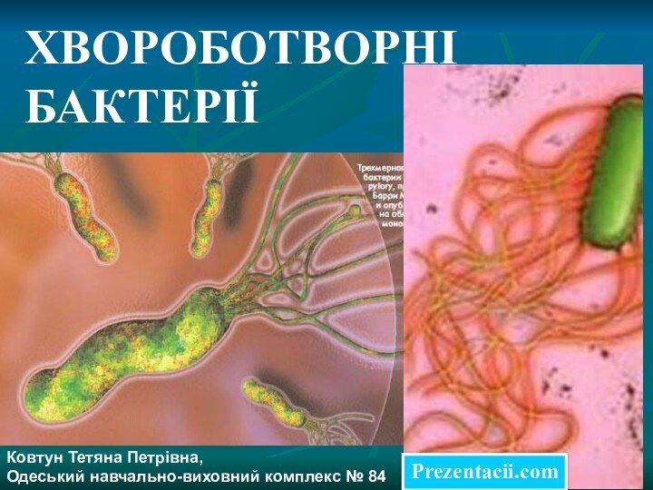 ХВОРОБОТВОРНІ БАКТЕРІЇКовтун Тетяна Петрівна,Одеський навчально-виховний комплекс № 84Prezentacii.com