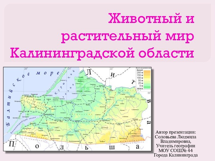 Животный и растительный мир Калининградской областиАвтор презентации:Соловьева Людмила Владимировна,Учитель географииМОУ СОШ№ 44Города Калининграда