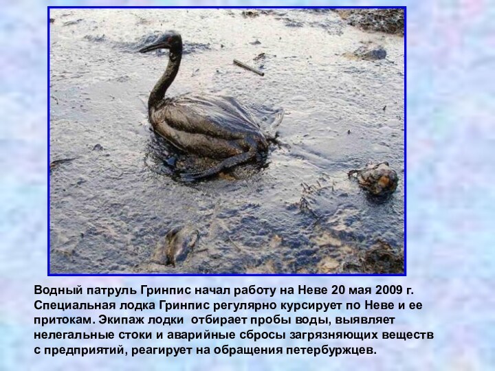 Водный патруль Гринпис начал работу на Неве 20 мая 2009 г. Специальная