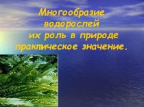 Многообразие водорослей и их роль в природе практическое значение