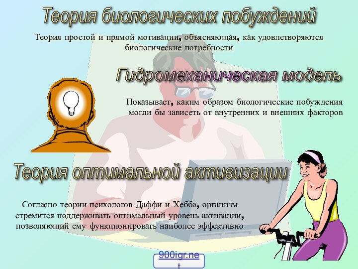 Теория биологических побуждений Теория простой и прямой мотивации, объясняющая, как удовлетворяются биологические