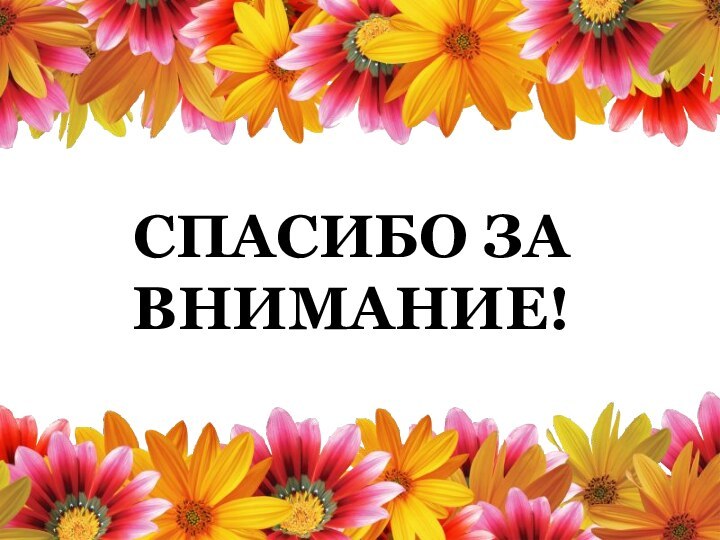 СПАСИБО ЗА ВНИМАНИЕ!