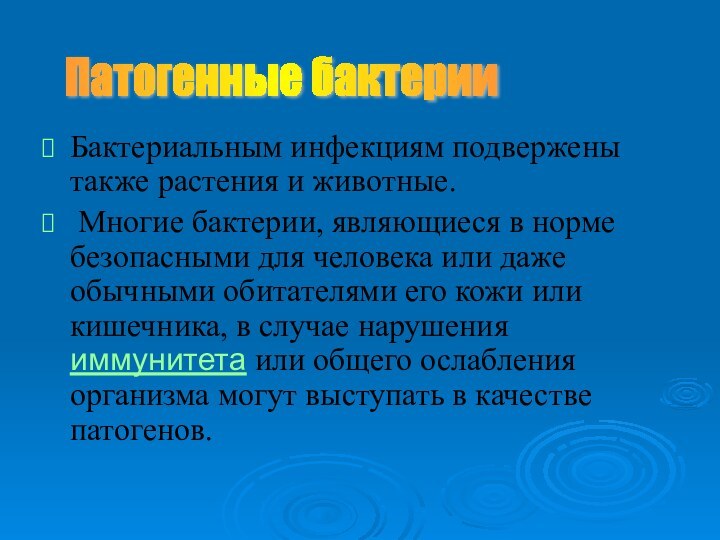 Бактериальным инфекциям подвержены также растения и животные. Многие бактерии, являющиеся в норме