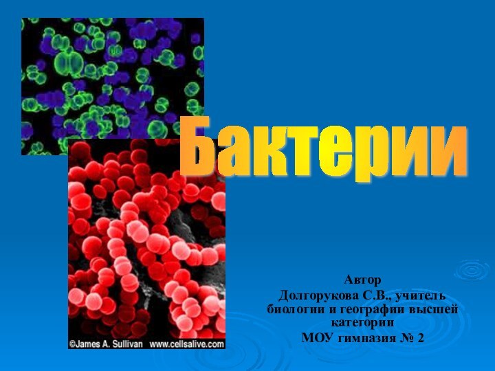 АвторДолгорукова С.В., учитель биологии и географии высшей категорииМОУ гимназия № 2Бактерии