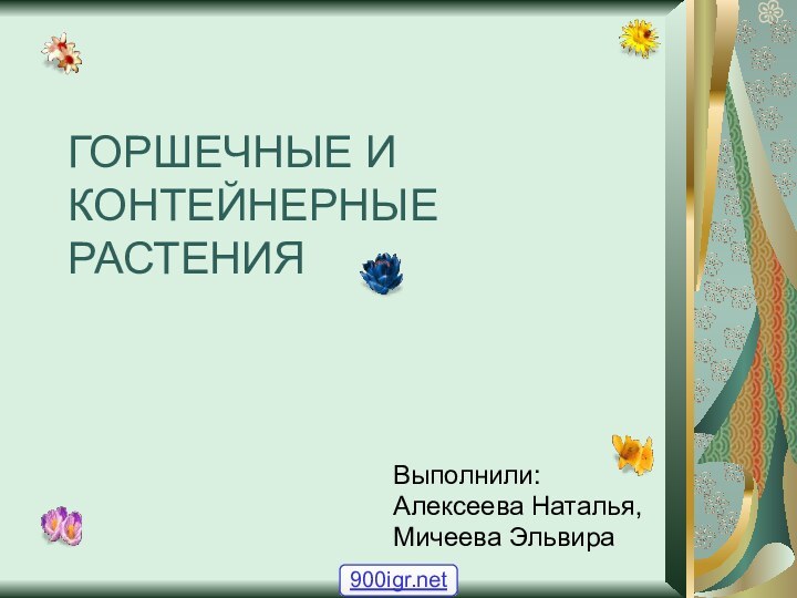 ГОРШЕЧНЫЕ И КОНТЕЙНЕРНЫЕ РАСТЕНИЯВыполнили:Алексеева Наталья,Мичеева Эльвира