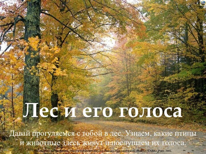 Давай прогуляемся с тобой в лес. Узнаем, какие птицыи животные здесь живут