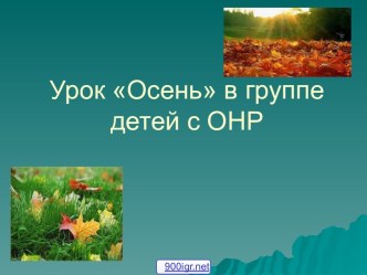 Работа с детьми с ОНР