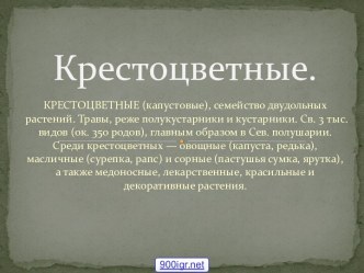 Семейство крестоцветные