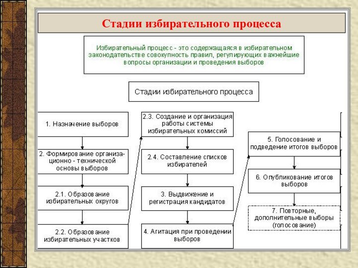 Стадии избирательного процесса