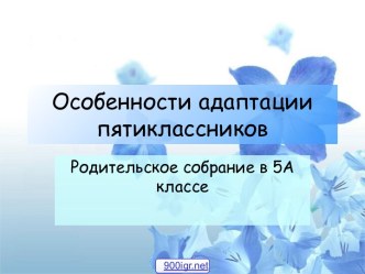 Адаптация пятиклассников