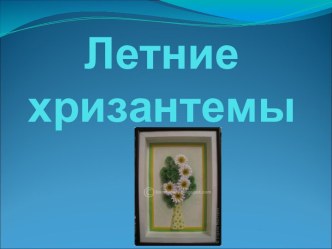 Летние хризантемы