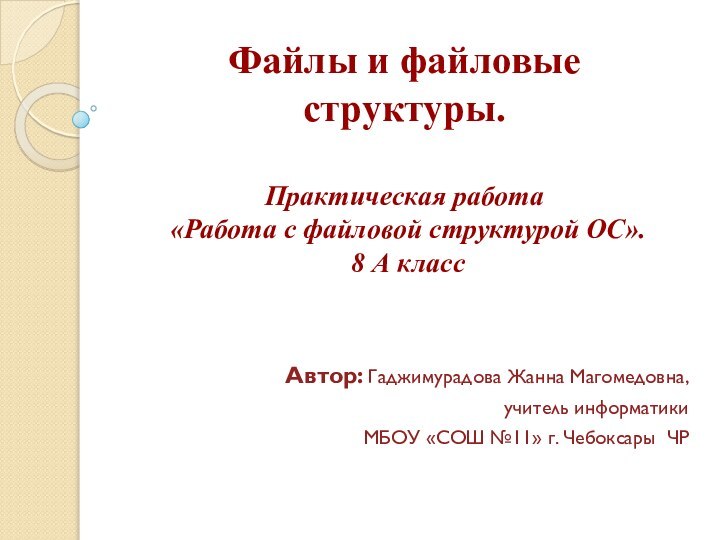 Файлы и файловые  структуры.  Практическая работа  «Работа с файловой