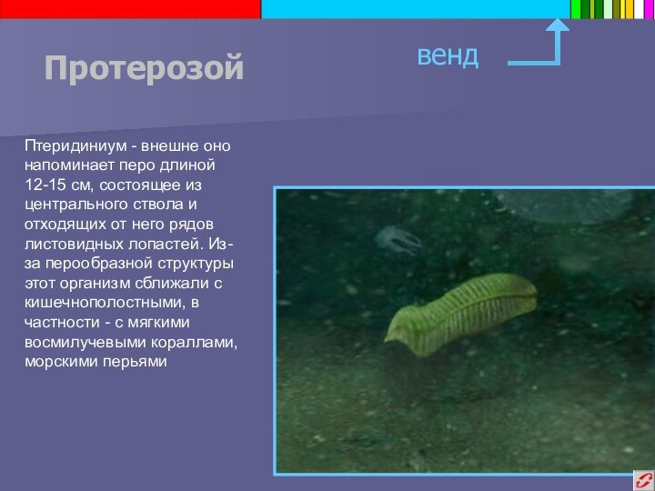 ПротерозойвендПтеридиниум - внешне оно напоминает перо длиной 12-15 см, состоящее из центрального