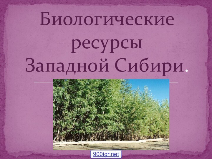 Биологические ресурсы  Западной Сибири.