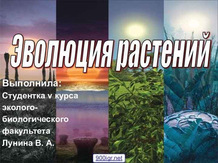 Эволюция растений Выполнила:Студентка v курсаэколого-биологическогофакультетаЛунина В. А.