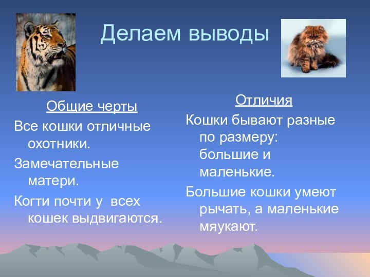 Делаем выводыОбщие чертыВсе кошки отличные охотники.Замечательные матери.Когти почти у всех кошек выдвигаются.ОтличияКошки