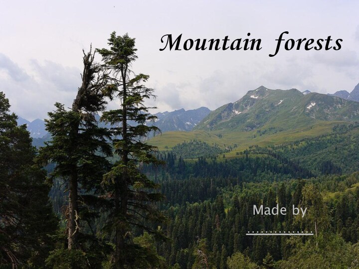 Mountain forestsMade by ……………