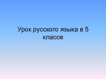 Урок русского языка в 5 классе Разряды существительных по значению