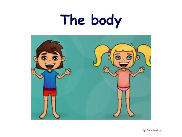 The bodyPptforschool.ru