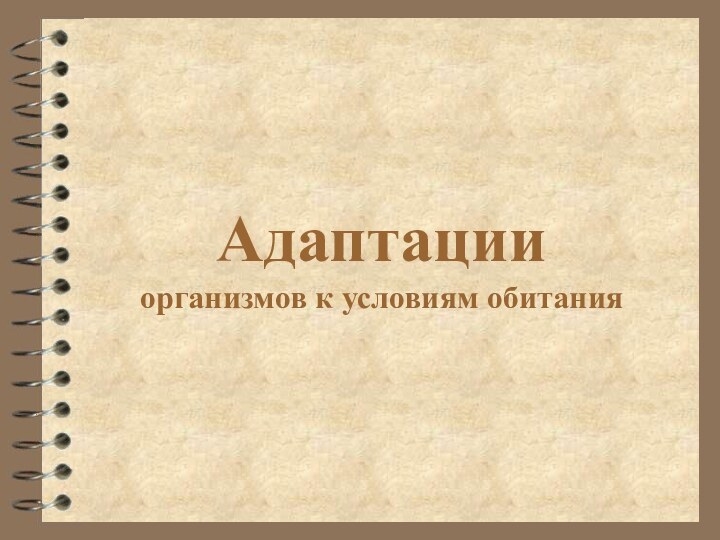 Адаптации  организмов к условиям обитания