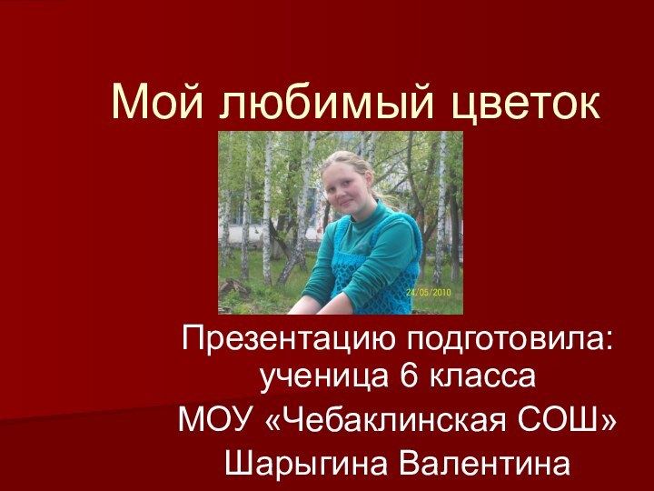 Мой любимый цветок Презентацию подготовила: ученица 6 классаМОУ «Чебаклинская СОШ» Шарыгина Валентина