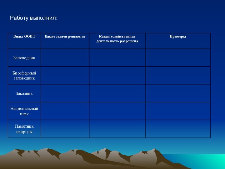 Работу выполнил: