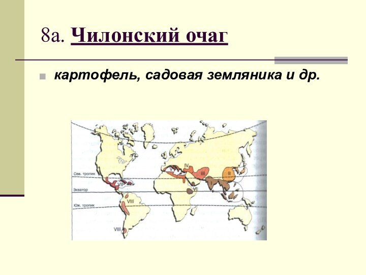 8а. Чилонский очаг картофель, садовая земляника и др.