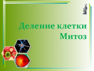 Митоз