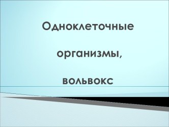 Одноклеточные организмы, вольвокс