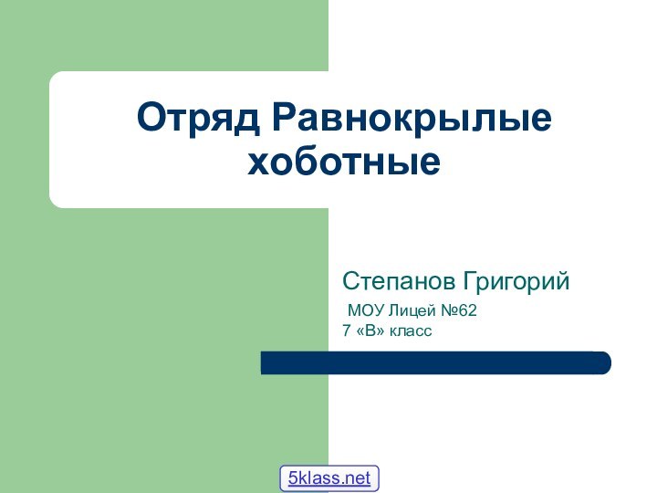 Отряд Равнокрылые хоботныеСтепанов Григорий МОУ Лицей №627 «В» класс