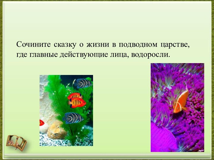 Сочините сказку о жизни в подводном царстве, где главные действующие лица, водоросли.