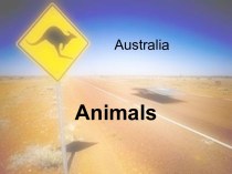 Australia Animals