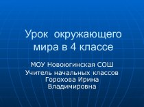 Полезные ископаемые (4 класс)