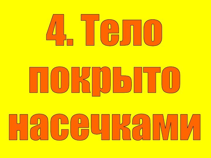 4. Телопокрытонасечками